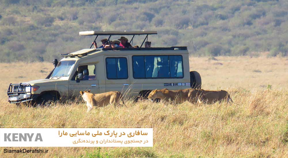 سافاری در پارک ملی ماسایی مارا با ماشین تویوتا لندکروز