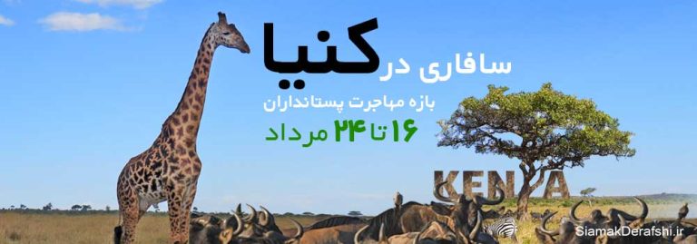 سفر به کنیا و سافاری در KENYA