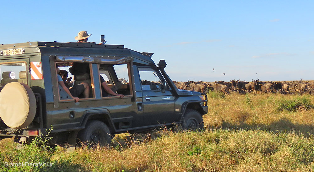 سافری در کشور کنیا