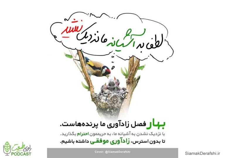 لطفا به آشیانه ما پرنده ها نزدیک نشید.