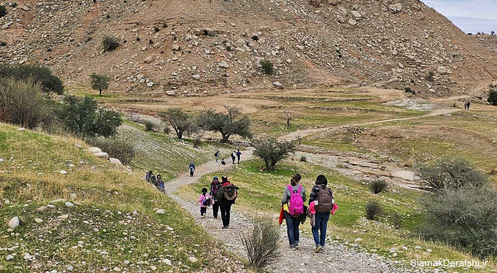 پیمایش تنگه کول خرسون
