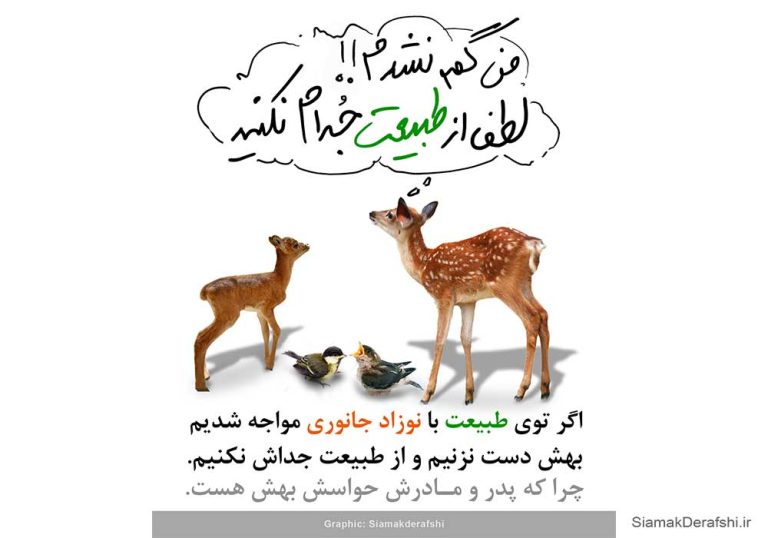 نوزادحیات وحش