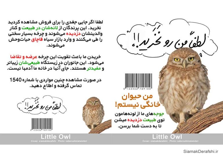 نخریدن جغد