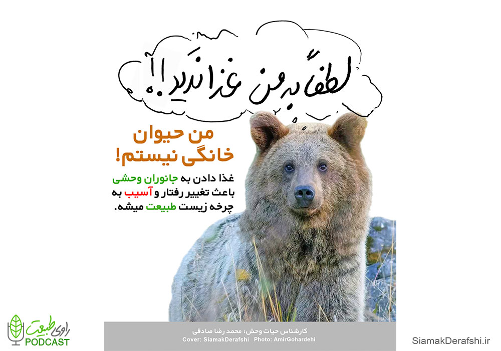 خرس سبلان
