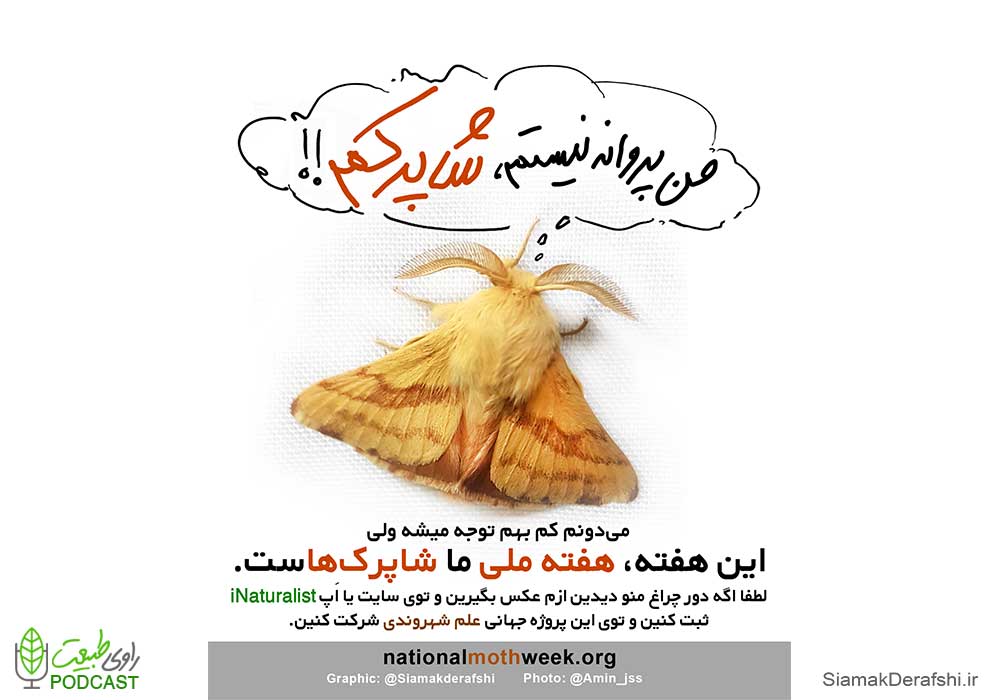 هفته جهانی شاپرک‌ها