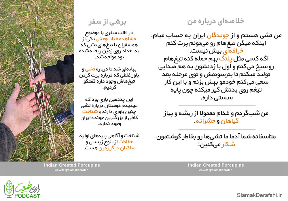 تشی